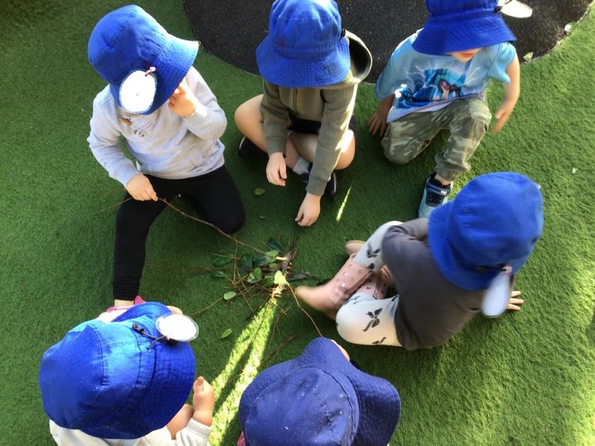 Beetroot, tomato and corn: what our gardens teach children
